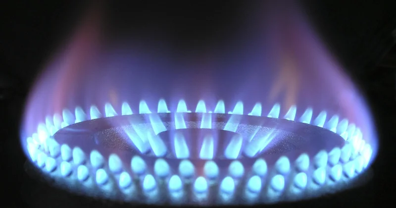 180 °C ou 220 °C : comment le four change tout