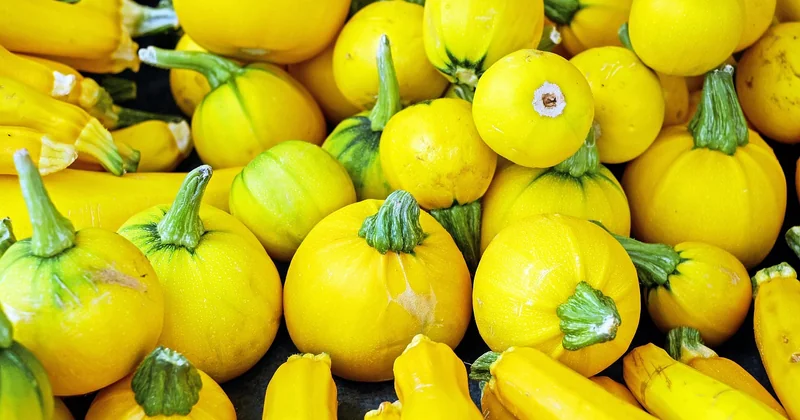 Houmous de courgettes : la variante d'été qui m'a convaincu